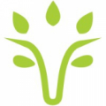 Viridios AI logo