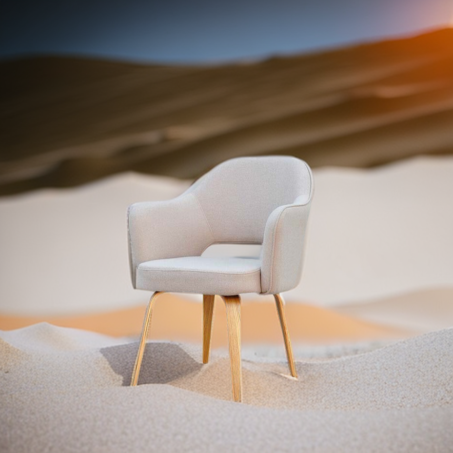 Chair in the Sand Dunes