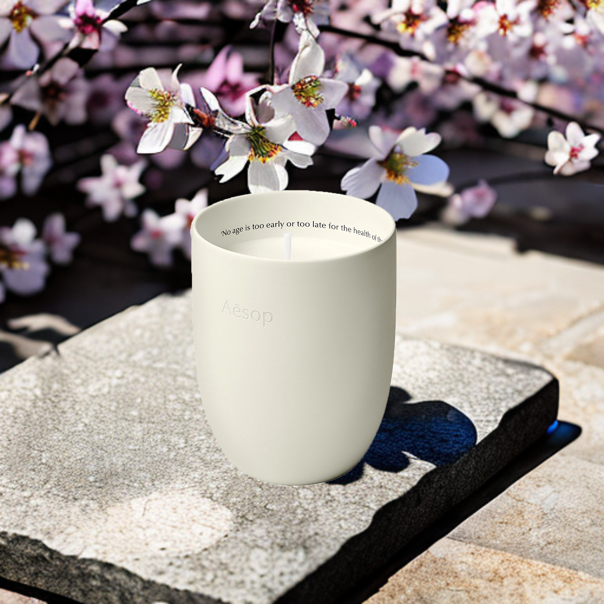 Aeseop candle