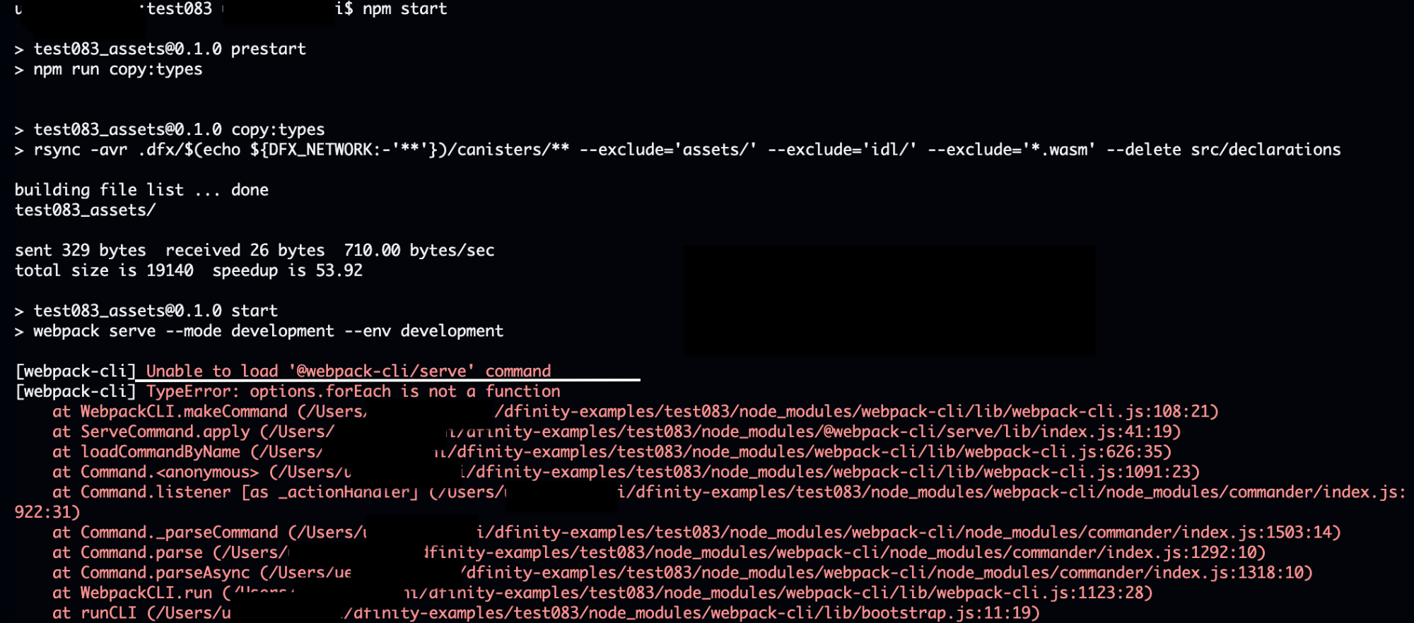 npm error