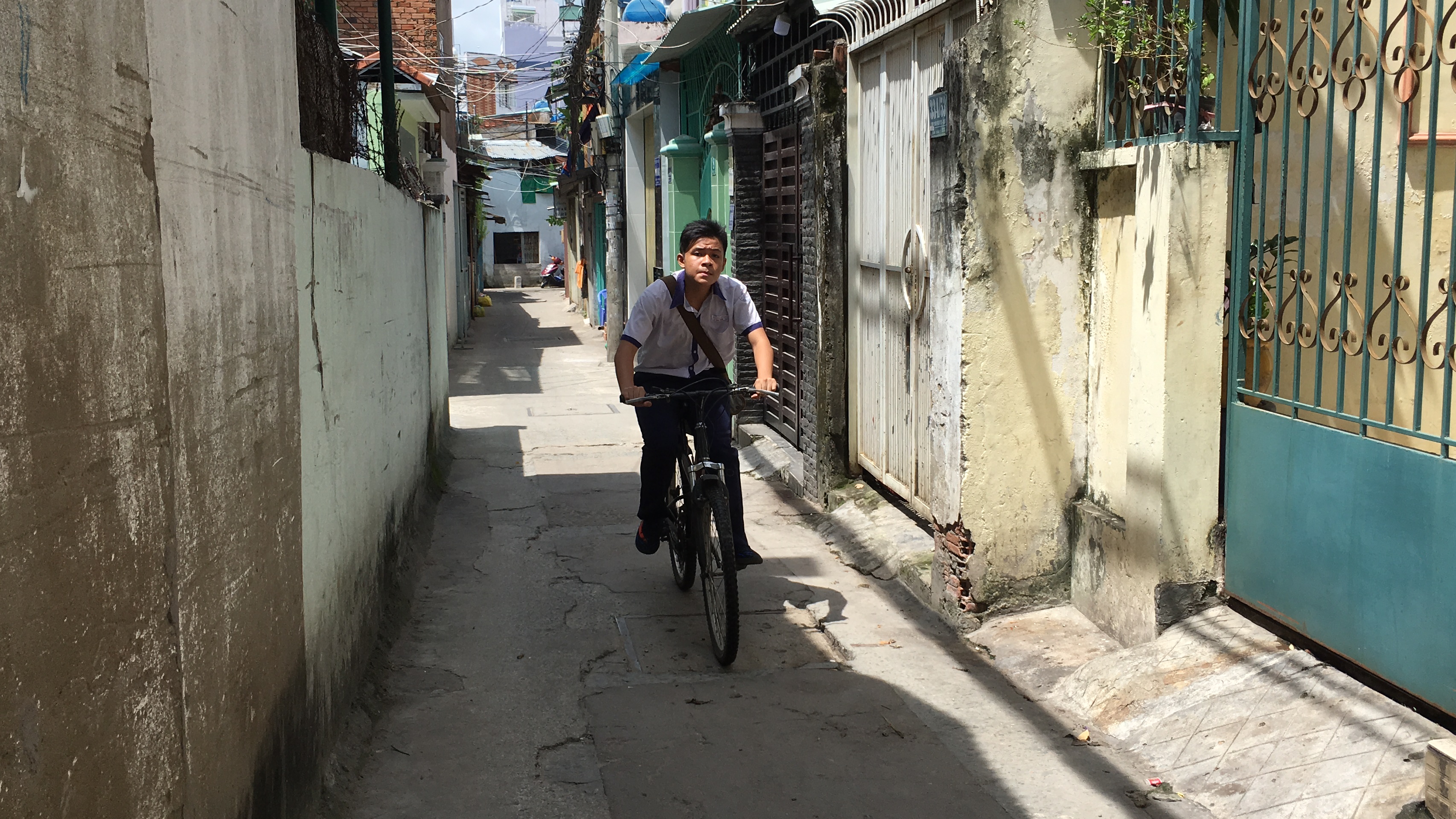 Sinh viên