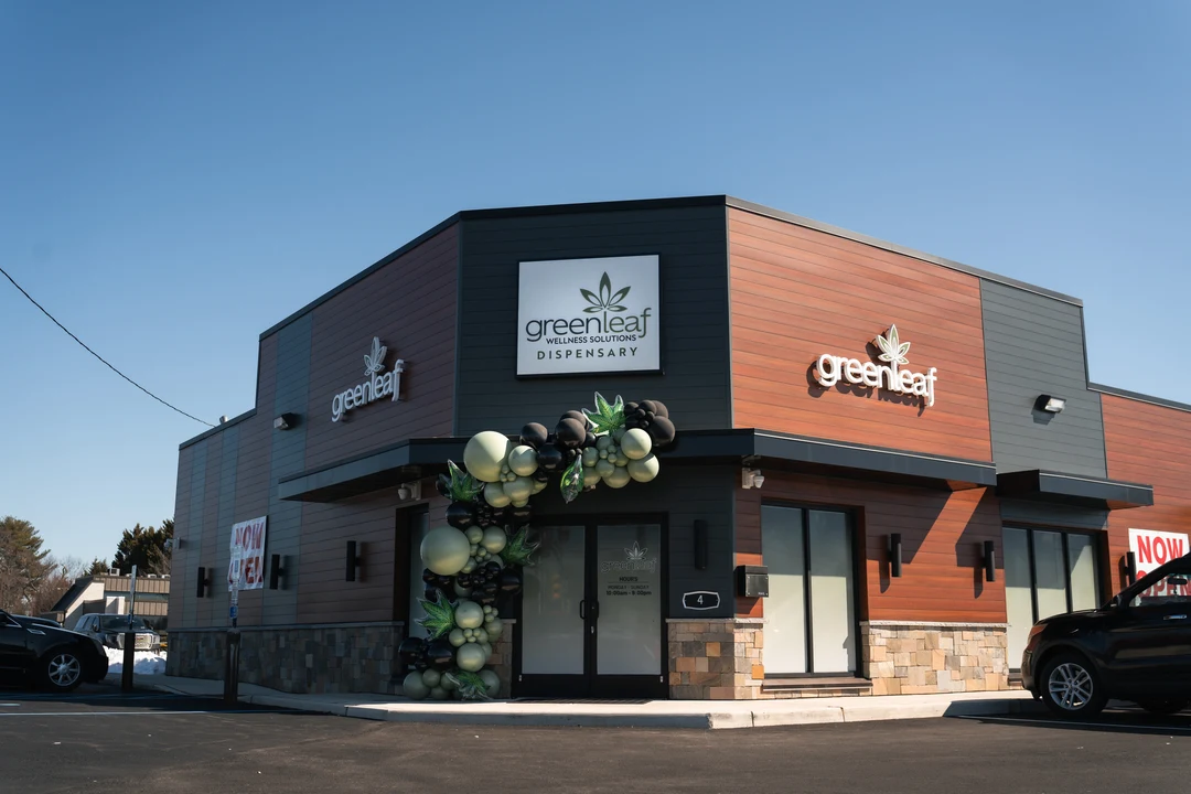 Green Leaf Wellness Solutions - Williamstown view 2