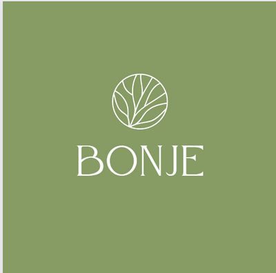 Bonje LLC - Coaching for Transformative Change 
