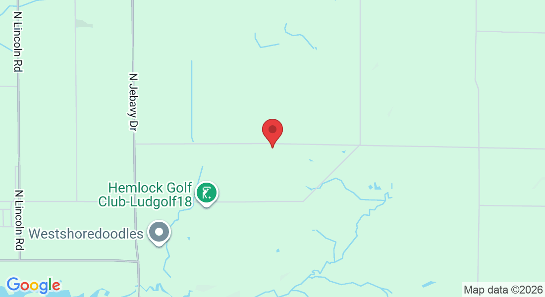 4655 W Fisher Rd, Ludington, MI 49431, USA