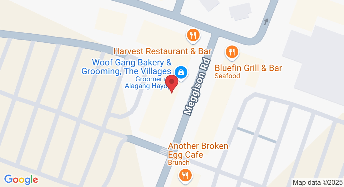 3688 Meggison Rd, The Villages, FL 32163, Estados Unidos