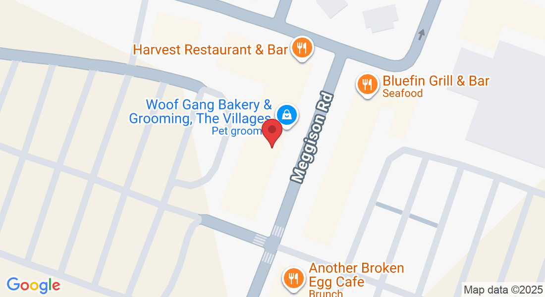 3688 Meggison Rd, The Villages, FL 32163, Estados Unidos