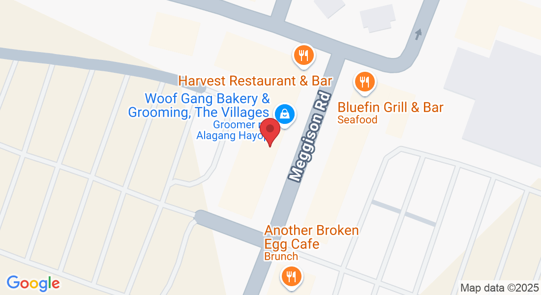 3688 Meggison Rd, The Villages, FL 32163, Estados Unidos