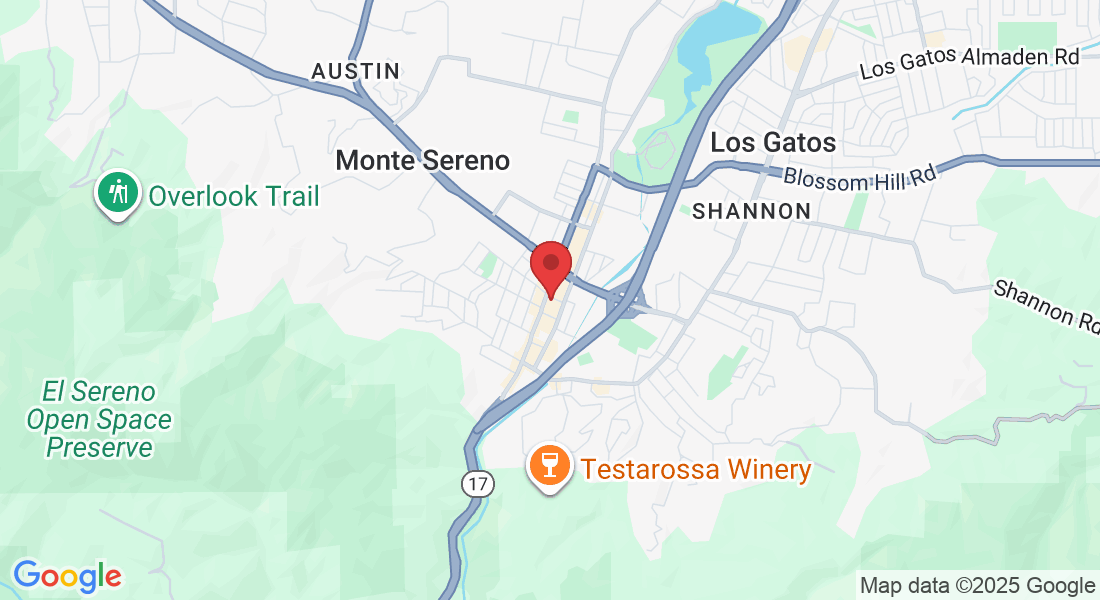 236 N Santa Cruz Ave, Los Gatos, CA 95030, USA