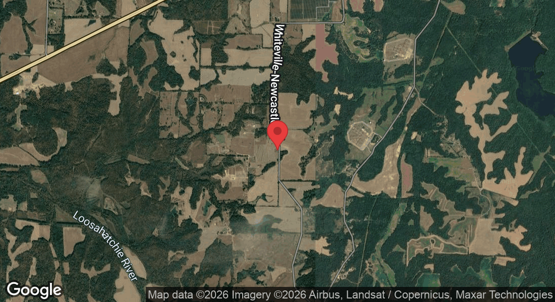 3200 Whiteville-Newcastle Rd, Whiteville, TN 38075, USA