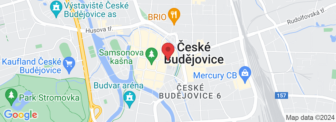 Kněžská, 370 01 České Budějovice, Česko