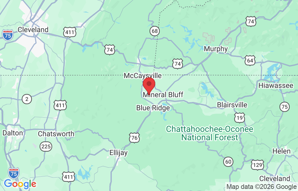 343 Windy Valley Trl, Blue Ridge, GA 30513, USA