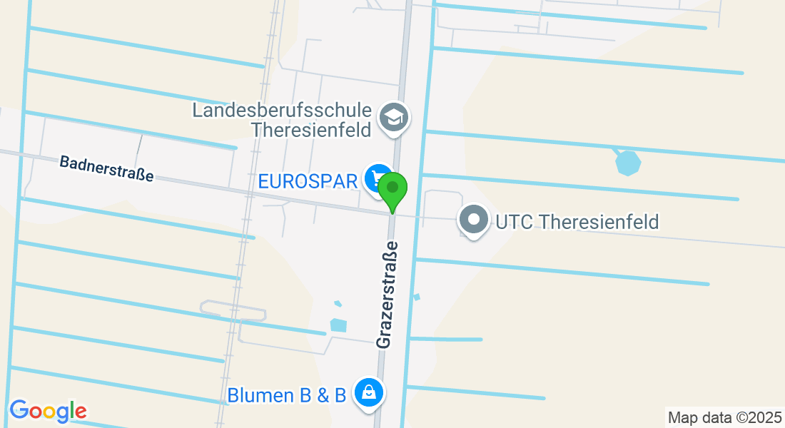 Grazerstraße 35, 2604 Theresienfeld, Österreich