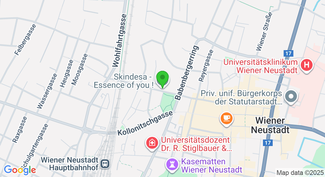 Pöckgasse 8/1 4, 2700 Wiener Neustadt, Österreich