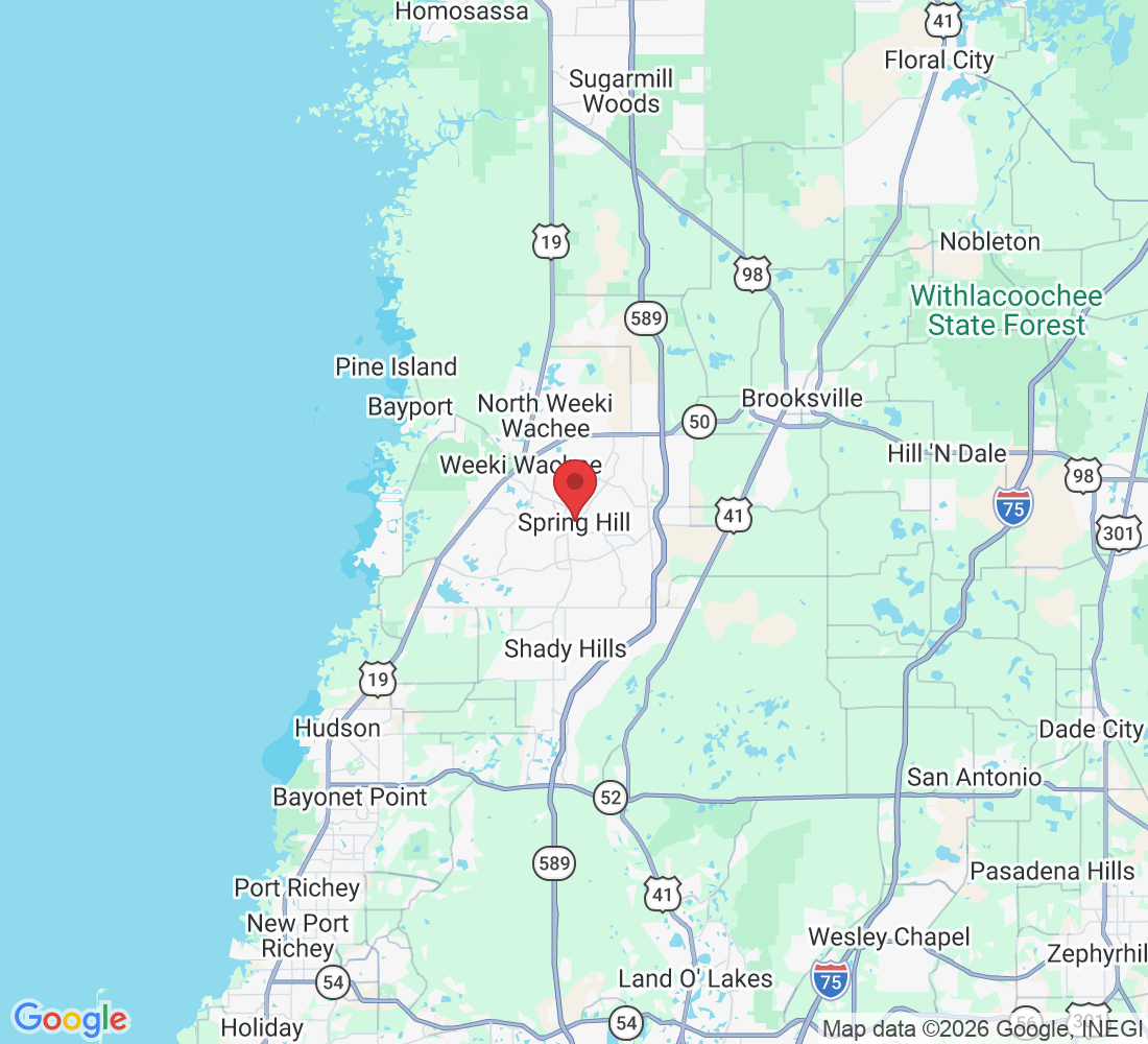 Spring Hill, FL, USA