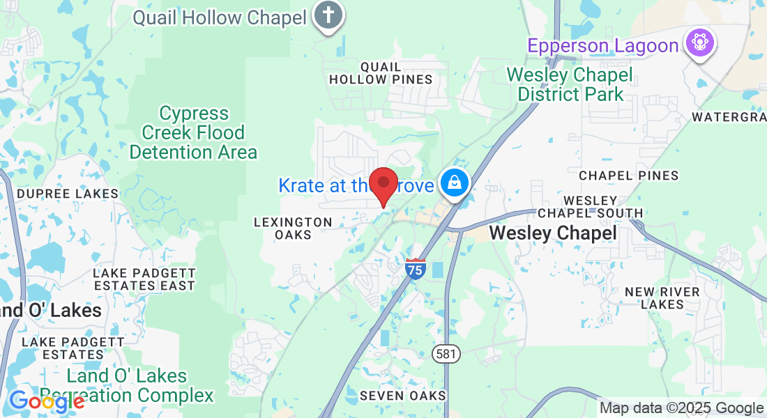 27022 Foamflower Blvd, Wesley Chapel, FL 33544, USA