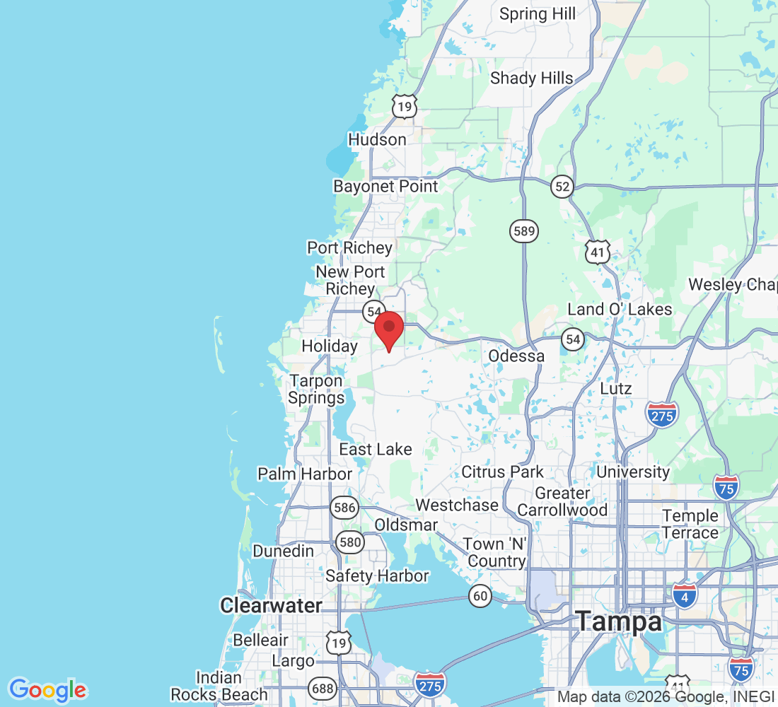 Trinity, FL 34655, USA