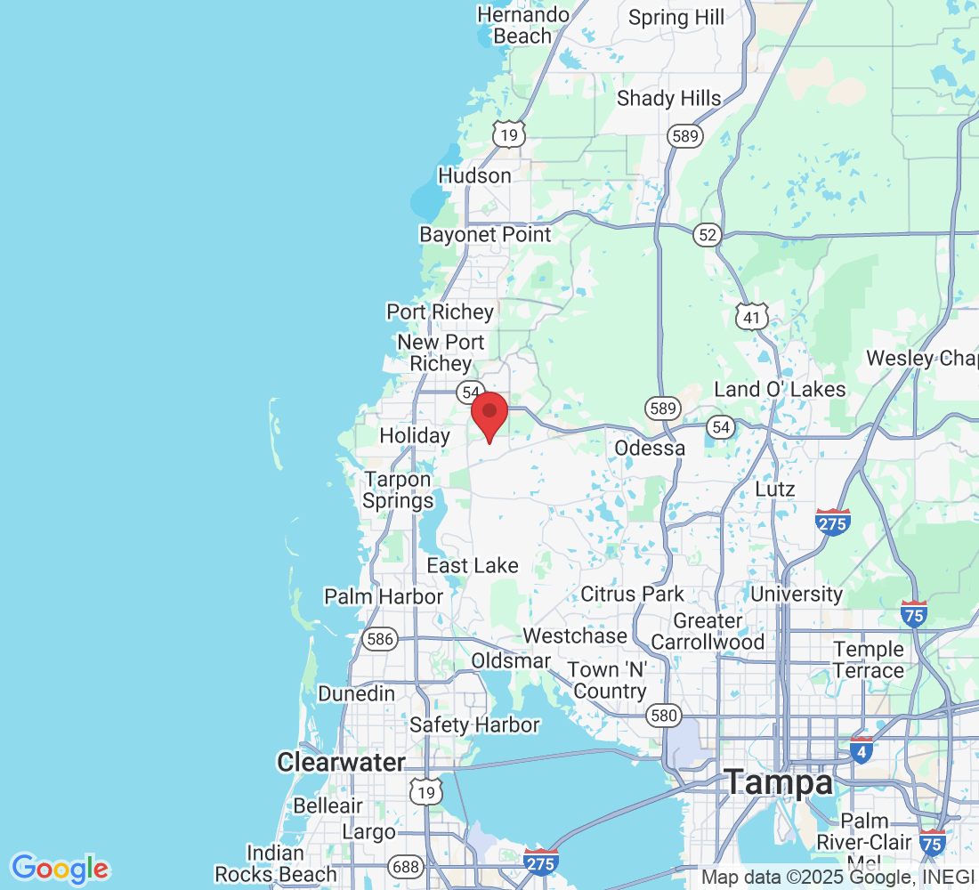 Trinity, FL 34655, USA
