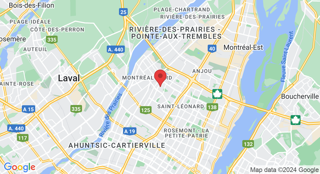 9109 Rue Boissonneault, Montréal, QC H1P 2X3, Canada