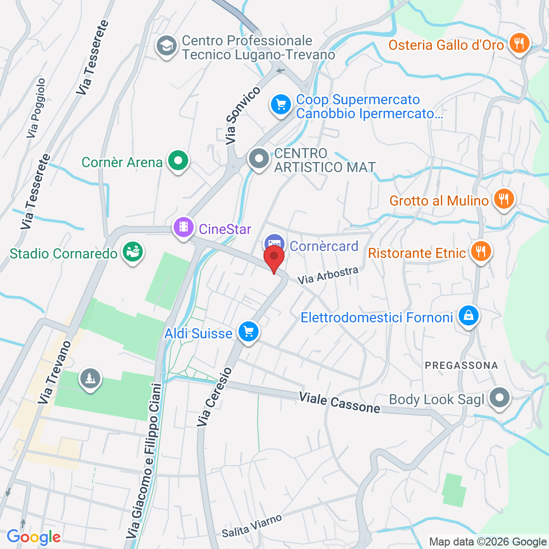 Via Alla Bozzoreda 37, 6963 Pregassona, Svizzera