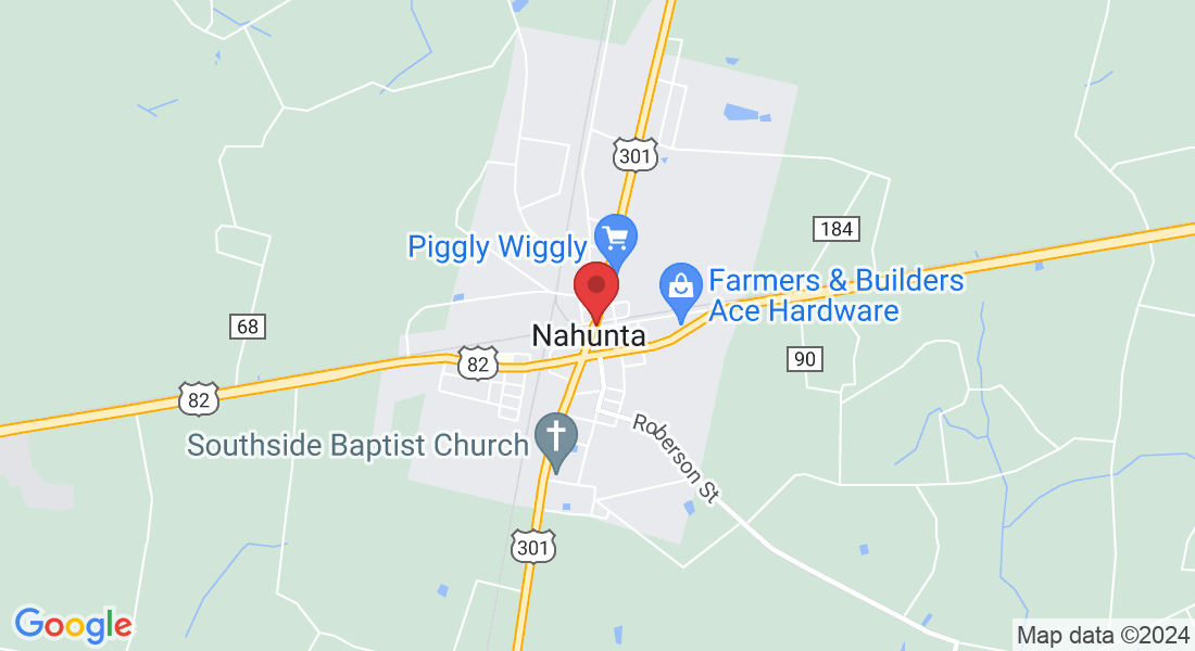 Nahunta, GA 31553, USA