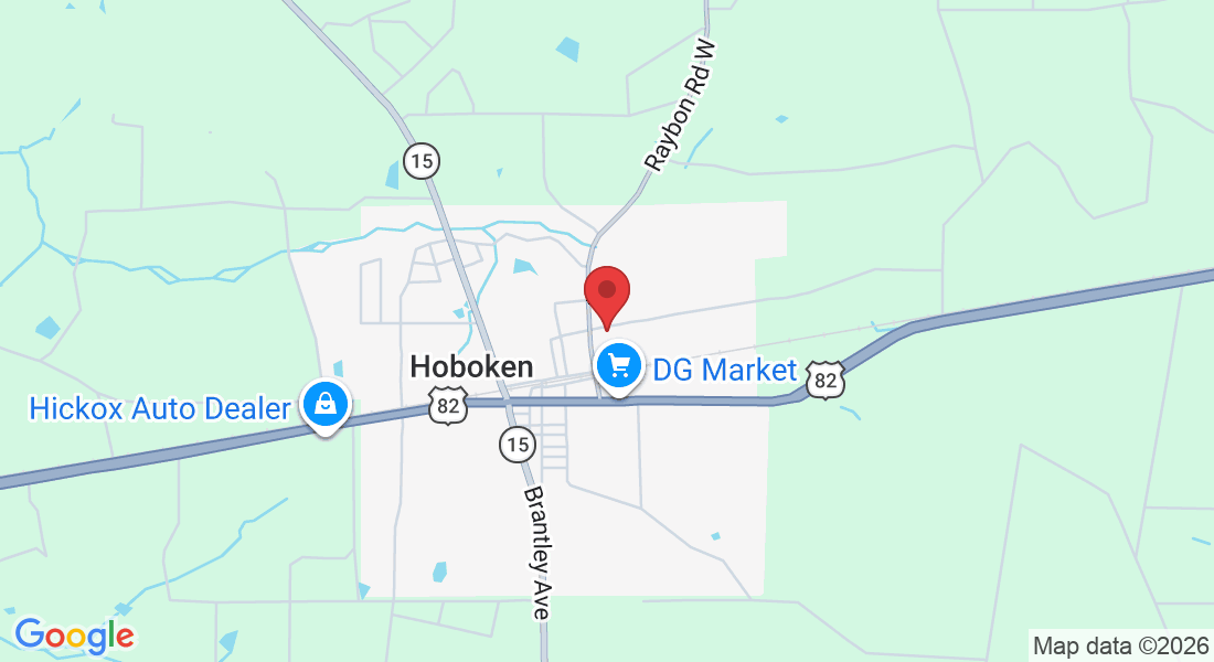 294 Chicago Ave, Hoboken, GA 31542, USA