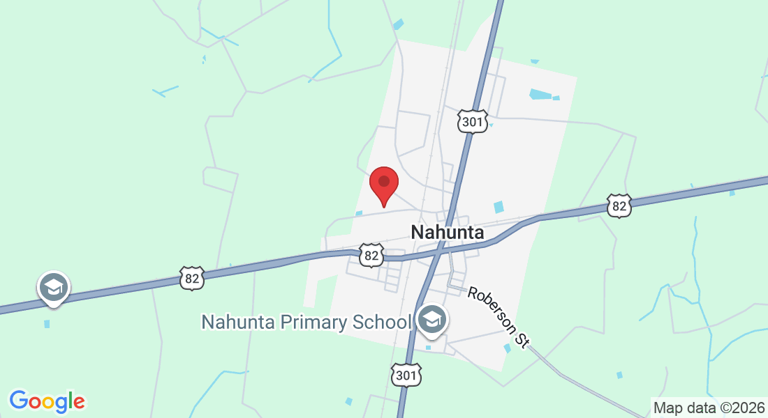 789 Burton St, Nahunta, GA 31553, USA
