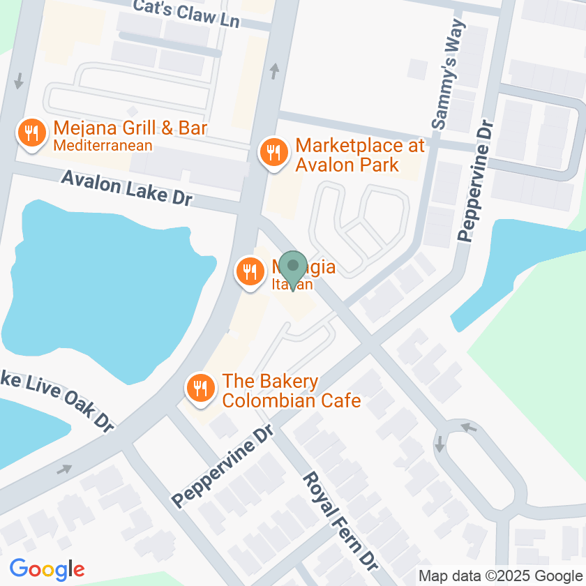 13000 Avalon Lake Dr #201, Orlando, FL 32828, USA