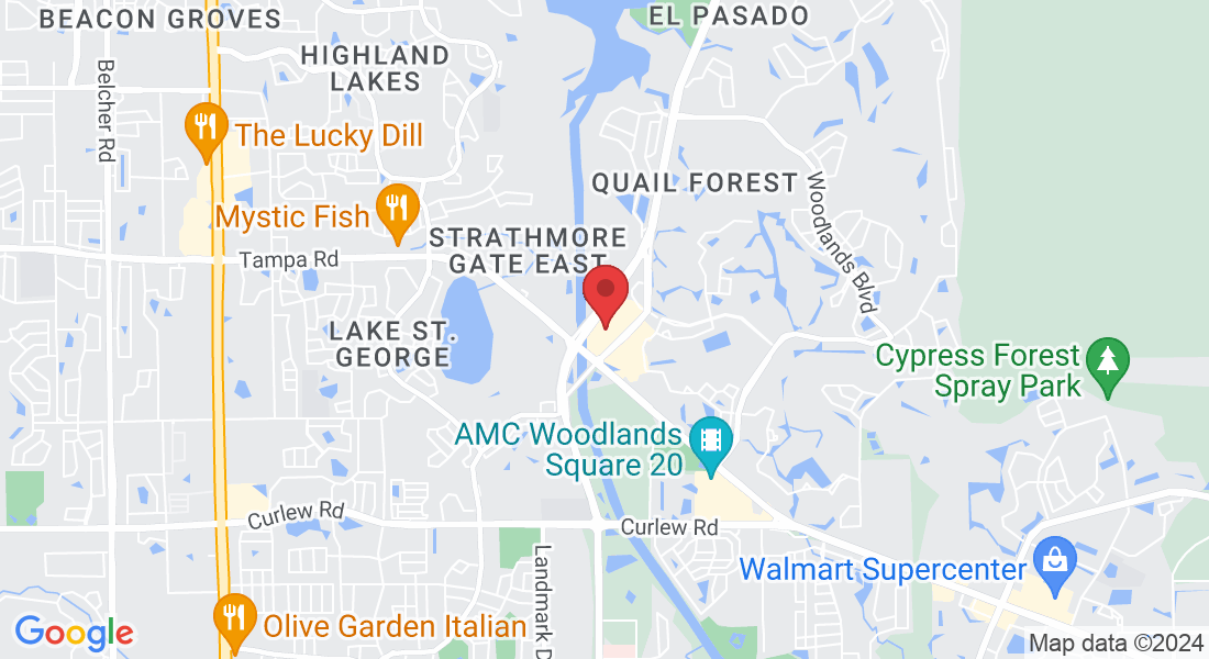 650 E Lake Rd S, Palm Harbor, FL 34685, USA