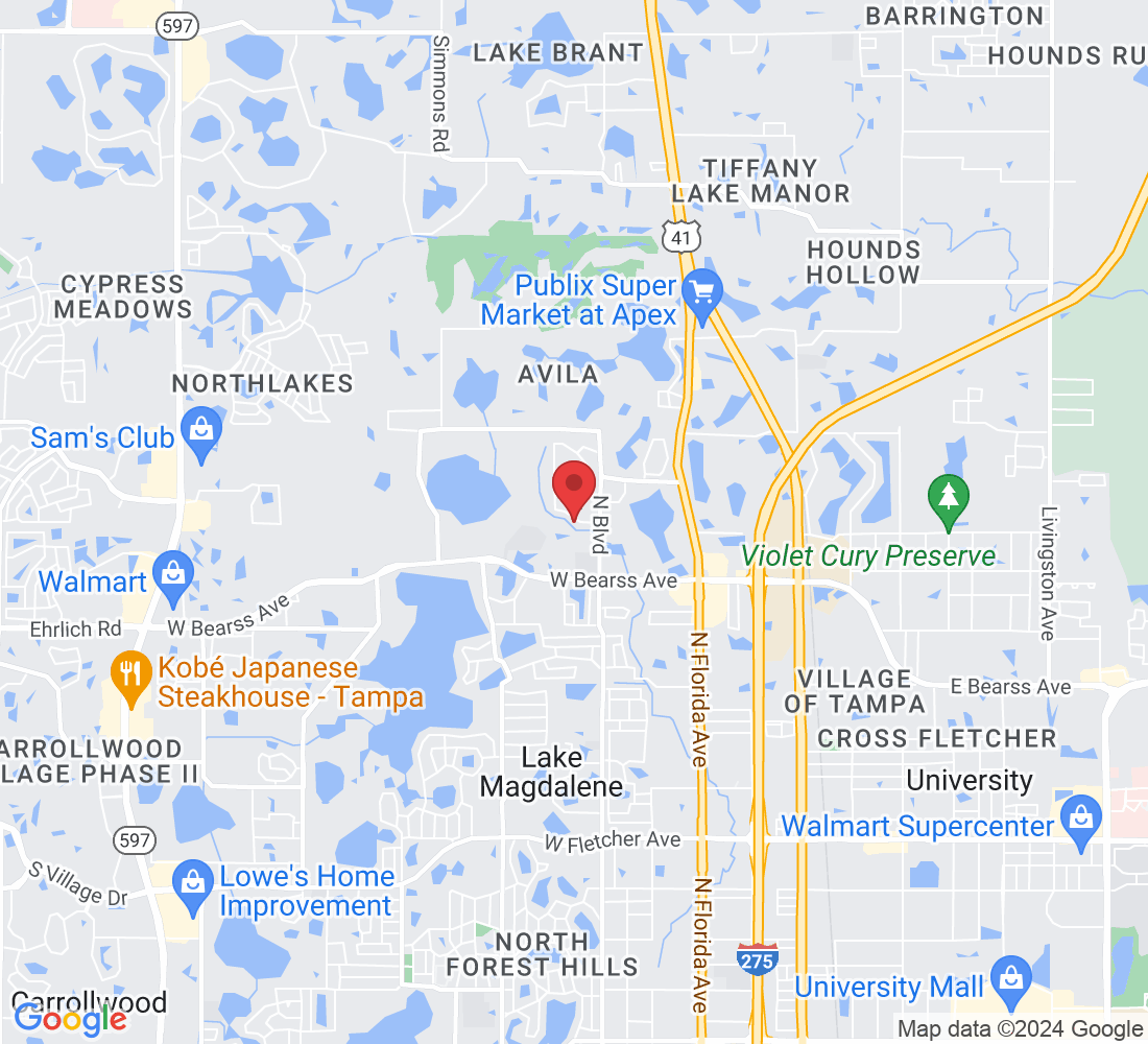 15414 Woodway Dr, Tampa, FL 33613, USA