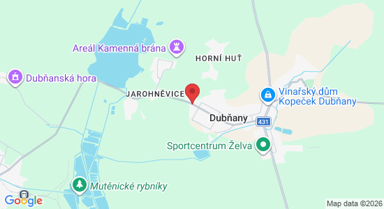 4254 151, 696 03 Dubňany, Česko