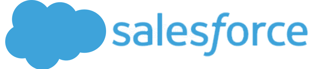 Salon Salesforce Automation