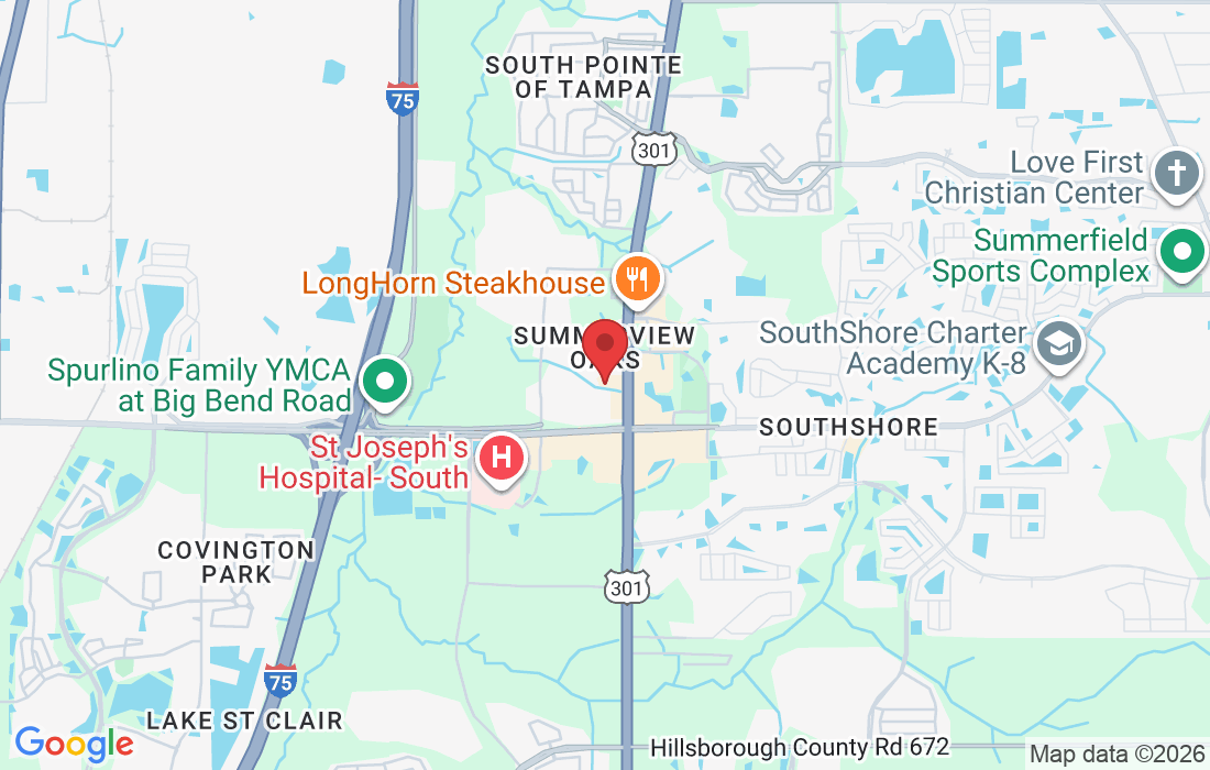 13039 Summerfield Square Dr, Riverview, FL 33578, USA