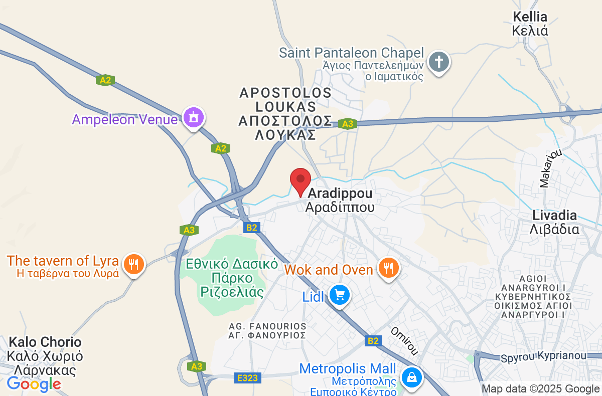 Αριστοφανους 4, Αραδίππου 7103, Κύπρος