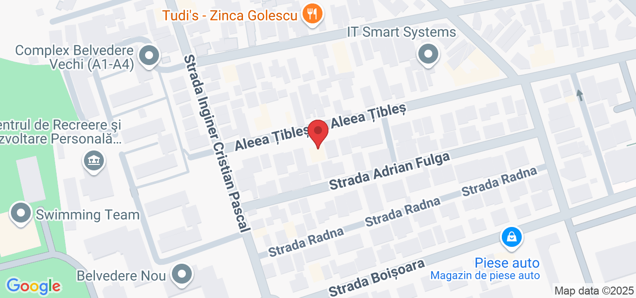 Aleea Țibleș 45, București 061505, Romania