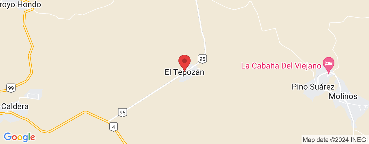 20658 El Tepozán, Ags., México