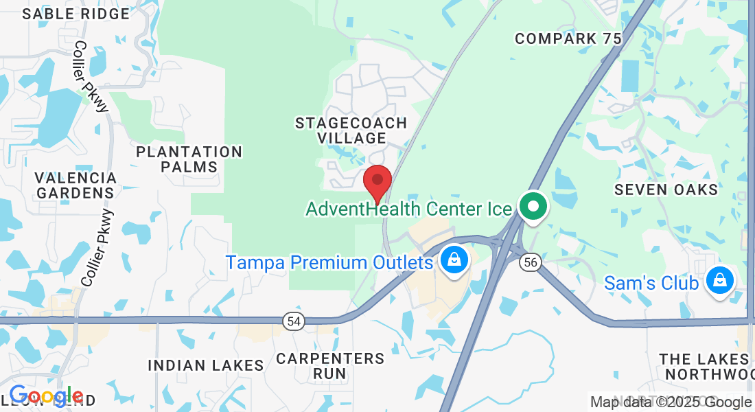 2915 Allegra Wy, Lutz, FL 33559, USA