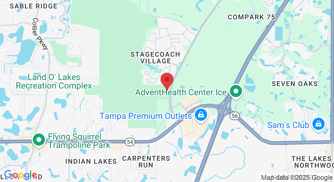 2915 Allegra Wy, Lutz, FL 33559, USA