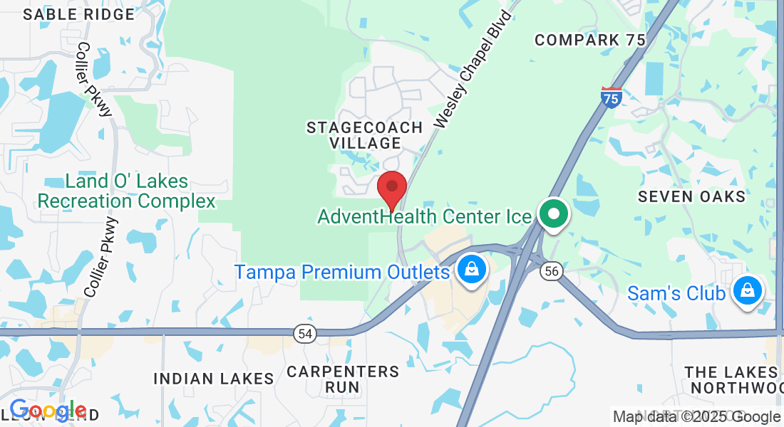 2915 Allegra Wy, Lutz, FL 33559, USA