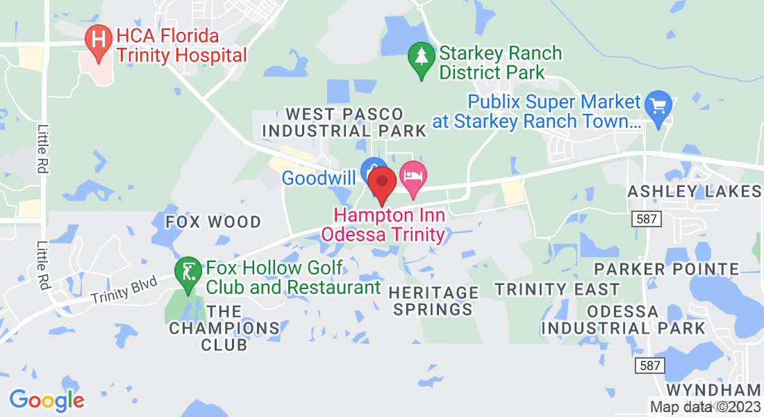 11541 Trinity Blvd, Trinity, FL 34655, USA