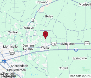 13414 Lonnie Wascom Rd, Walker, LA 70785, USA