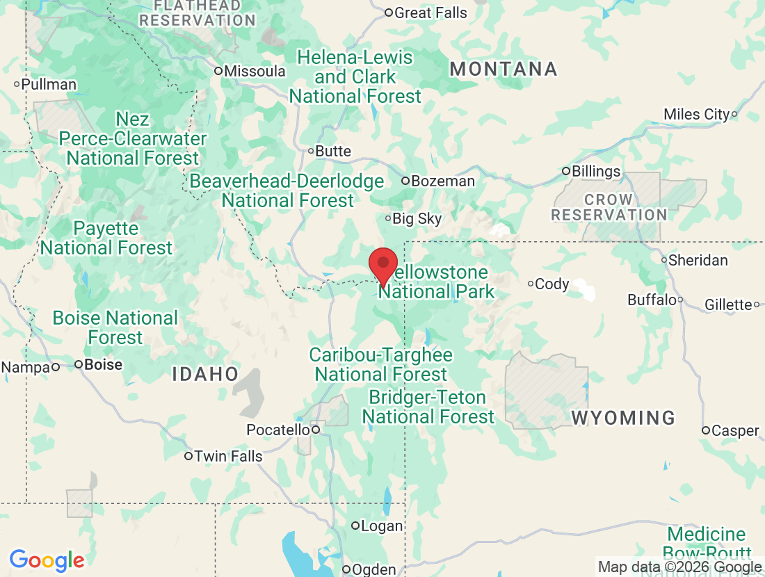 3802 Osprey Ln, Island Park, ID 83429, USA
