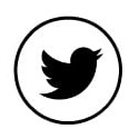 Twitter Icon