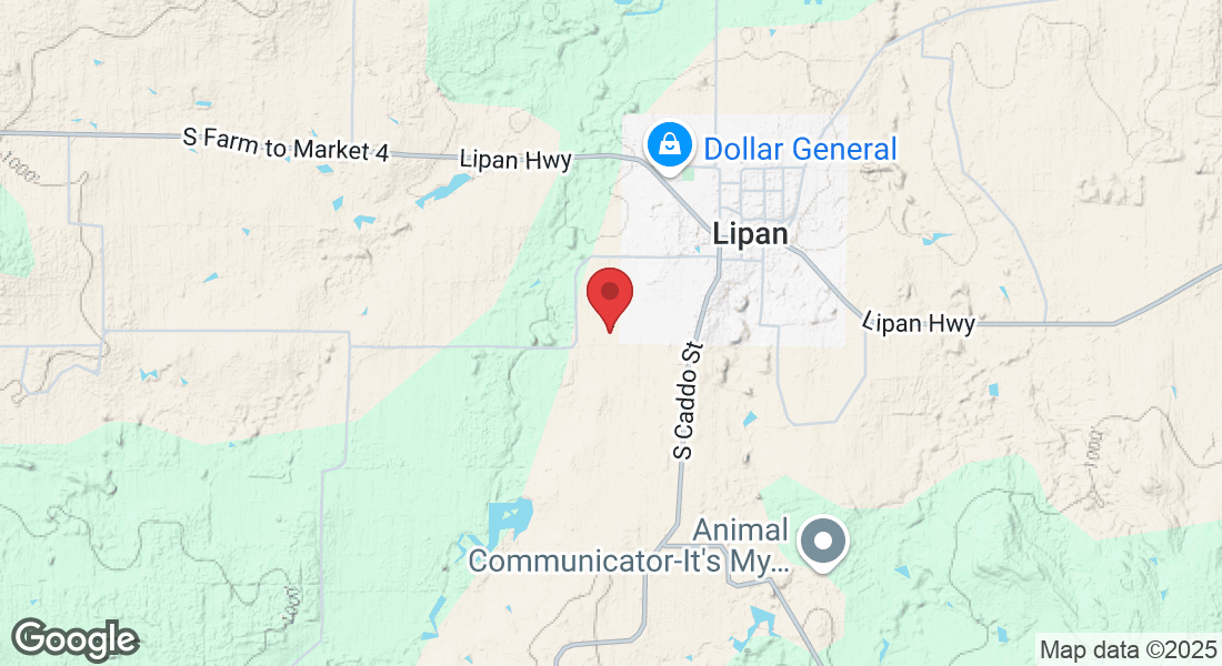 241 W Brown St, Lipan, TX 76462, USA