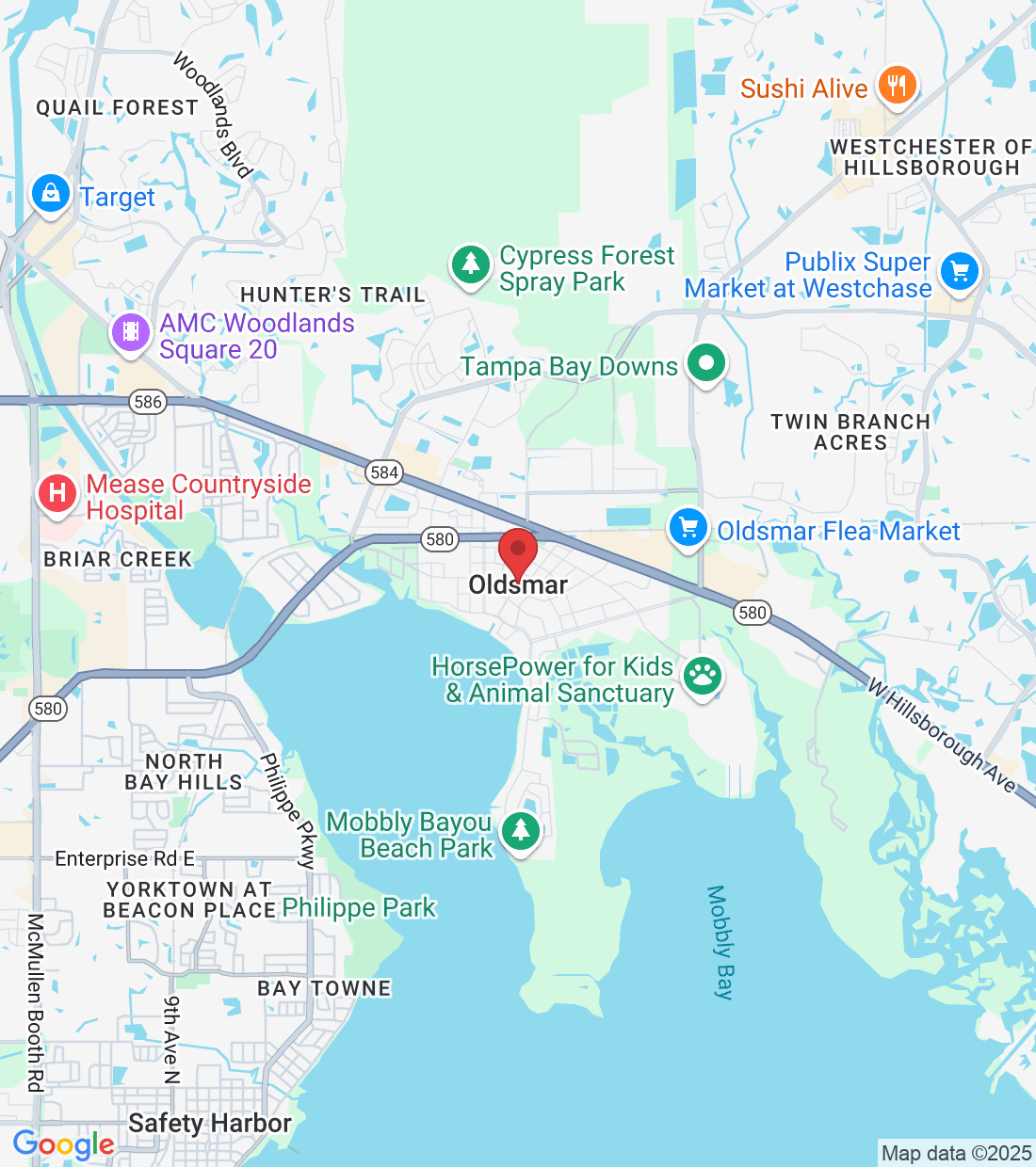 Oldsmar, FL, USA