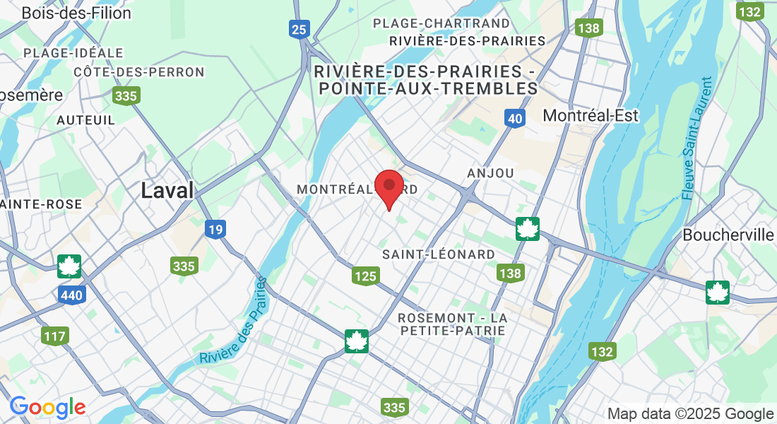 9109 Rue Boissonneault, Montréal, QC H1P 2X3, Canada