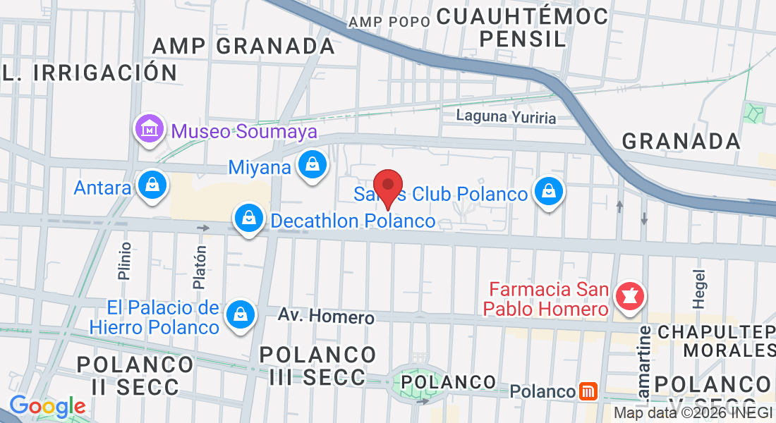 Av. Ejército Nacional Mexicano 613, Granada, Miguel Hidalgo, 11520 Ciudad de México, CDMX, Mexico