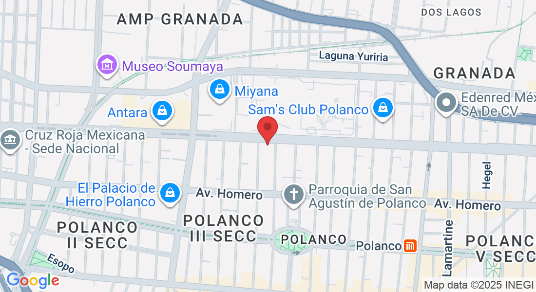 Av. Ejército Nacional Mexicano 700, Polanco, Polanco III Secc, Miguel Hidalgo, 11540 Ciudad de México, CDMX, Mexico