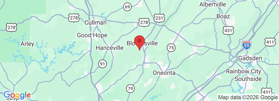 Johns Rd, Blountsville, AL 35031, USA