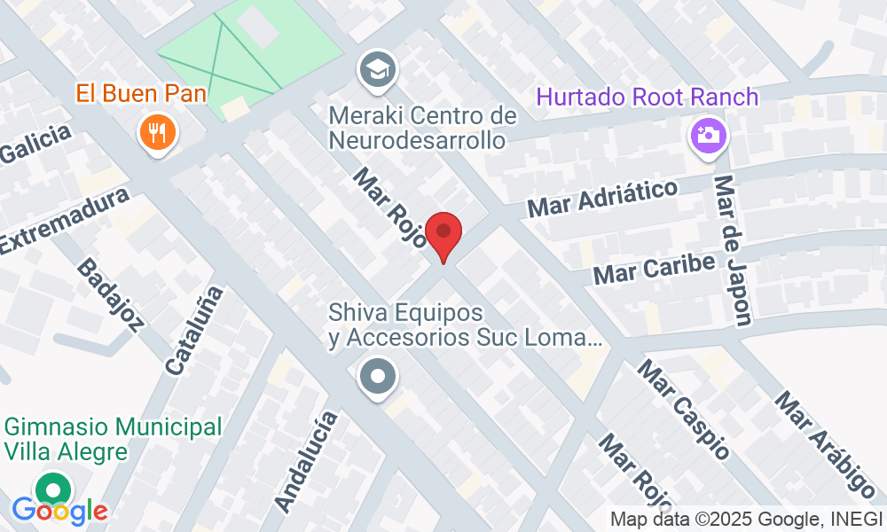 Mar Rojo, Loma Linda, 64120 Monterrey, N.L., México