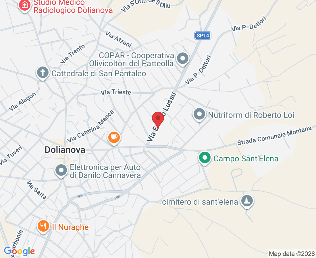 Via Emilio Lussu, 20B, 09041 Dolianova CA, Italia